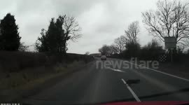 UK driver narrowly avoids cat