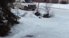 Jack Rabbits run their way through winter