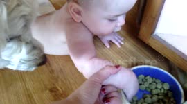 Baby learns to crawl and immediately eats dog food
