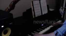 My cat interrupts my piano playing