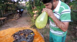 Snakes burst balloons from man's mouth