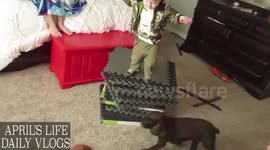 Jumping toddler flattens pet dog