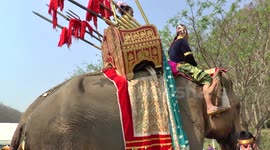 Thai National Elephant Day in Lampang