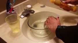 Adorable Hedgehog Bath Time!