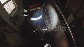 Puppy Rescued during a downpour
