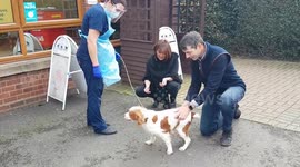 Dog owners reunited with their pet pooch six years after she was stolen