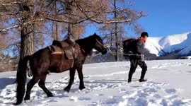 Snowstorms in Xinjiang force courier to deliver parcels on horseback
