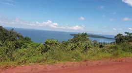 Kalangala forest lake view