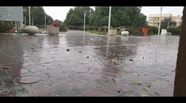 Beautiful rainfall in flower leisure Garden