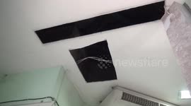 Kitten rescued after spending five days stuck in office ceiling