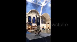 Circus acrobat pulls off the most gravity-defying twist you'll ever see