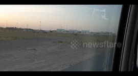Camels in al ain