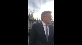 'You must have mothers!' Watch moment Tory MP rages at police as they bundle old lady into van during anti-lockdown protest
