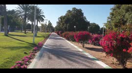 Al meraijeb park al ain (beautiful flower garden)
