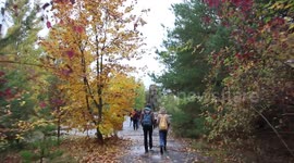Walking to Chernobyl's Ferris Wheel