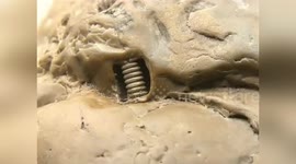 Screw-liked objects discovered in ancient 'million-year-old' rock in southeastern China