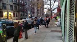 Brooklynites brave 4-hour lines to get COVID-19 test on Thanksgiving Eve