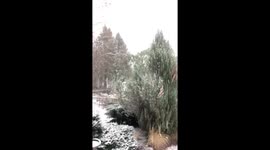 Heavy snow ming down Tuesday morning in Berrien springs Michigan
