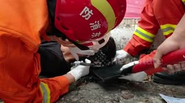 Alleged drunk man gets hair stuck in tarmac after sleeping on it overnight