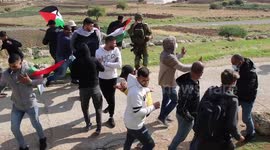 'Dozens injured' as Israeli forces use rubber bullets, tear gas to disperse rally protesting against settlement activities in West Bank