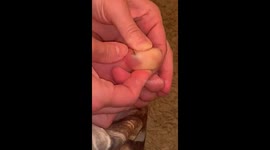 Final video of needle in toe