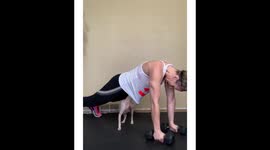 Hairless cat always helping his owner workout