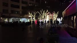 Christmas Lights Seattle