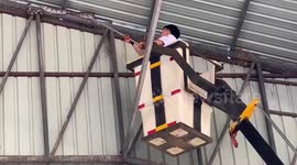 Python caught in the roof of Buddhist temple in Thailand