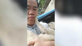 Pet Cat Gives Owner A Face Massage