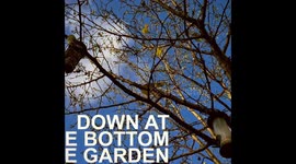British Wildlife - Down at the Bottom of the Garden