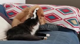 Love is...