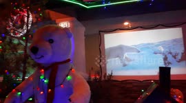 Polar Bear themed Christmas lights in Henderson Nevada