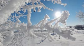 Winter phenomenon coats Chinese city in picturesque layer of ice