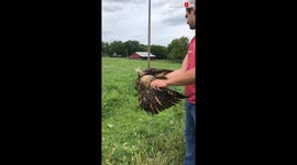 Owl bites its rescuer after being released from barbed fence in Kentucky, US