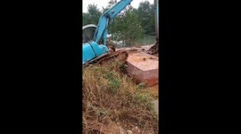 The professional driver steered the excavator onto the ferry in the swamp