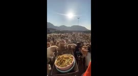 Volunteers at this shelter in Iran feed almost 2,000 dogs each day