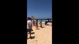 Crowd gathers to watch adorable Seal on Sydney's Manly Beach 1st December 2020