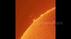 Solar cycle kicks off with a bang with massive prominence tracing magnetic field lines