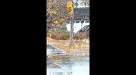 Sign Measuring The Leaves And Debris During Wind Storm