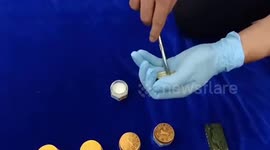 Gold worth $19,006 seized by air customs officials in southern India