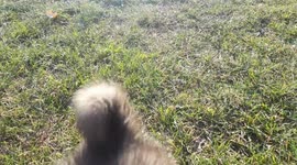 when you find the right spot - Mike Doggo