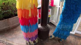 Bizarre restaurant in Thailand is decorated with thousands of multi-coloured condoms