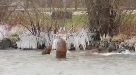Watch awesome footage as icicles form along the shore of Lake Superior as frigid arctic air hits north America
