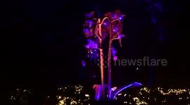 Luces de Navidad en el jardín botánico de Madrid