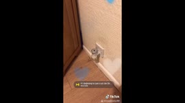 Woman in Lancashire changes all house smells for the Christmas season
