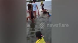 Giant sunfish found dead after being caught in fishing net in the Philippines