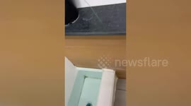 Furious woman wrestles 'peeping Tom' to the ground after catching him filming her in toilet