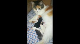 Egyptian Mummy Angila Just Gave Birth