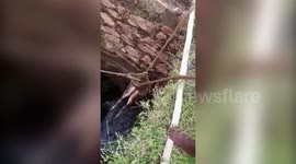South Indian fire officers winch free cow trapped in a well