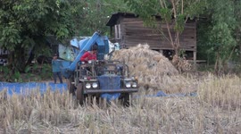 Rice thrashing at Sakon Nakhon in North East Thailand.